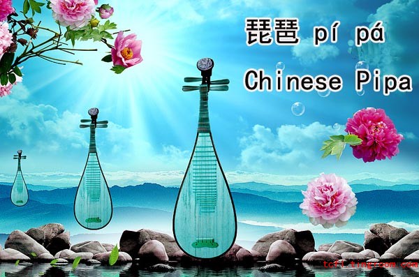 琵琶 Chinese Pipa